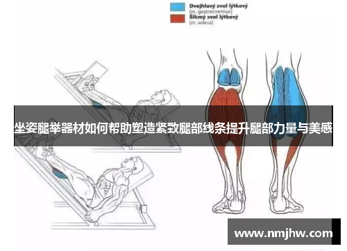 坐姿腿举器材如何帮助塑造紧致腿部线条提升腿部力量与美感