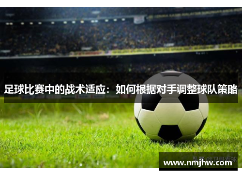足球比赛中的战术适应：如何根据对手调整球队策略
