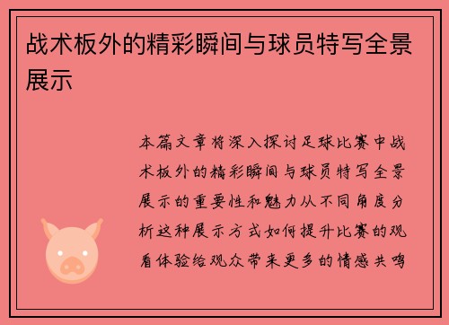 战术板外的精彩瞬间与球员特写全景展示
